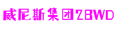 上海市威尼斯集团28WD电脑科技有限公司